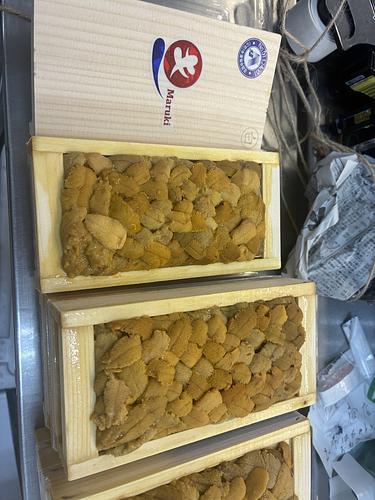 ムラサキウニ（板）30入約3kg