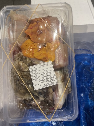 カジカ8入約4kg(沿岸)