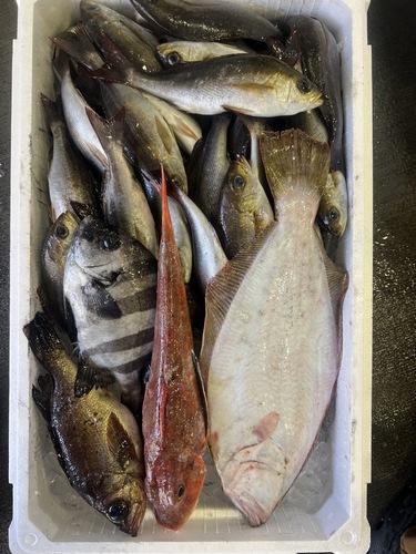 鮮魚BOX約6.2kg(定置)
