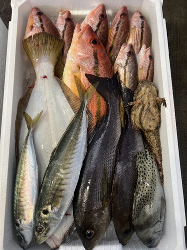 鮮魚BOX約5kg(定置)