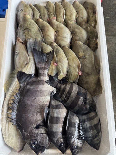 鮮魚BOX約5.4kg(定置)
