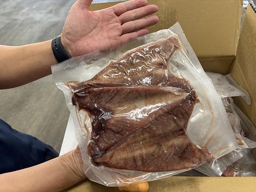 カツオ（冷凍）一箱　10キロ　約25入約10kg