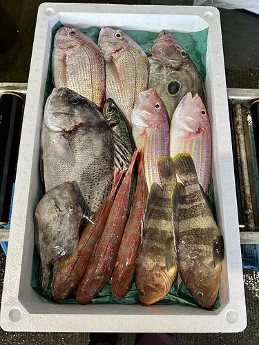 鮮魚BOX約5kg(沿岸)