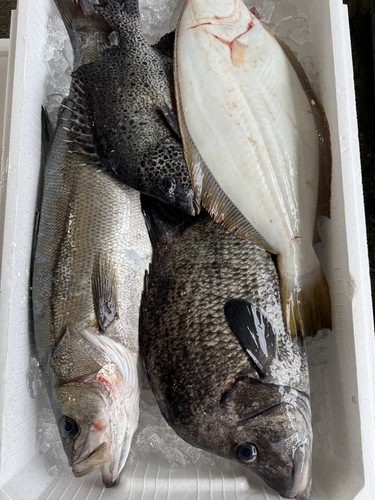 鮮魚BOX約4.5kg(定置)