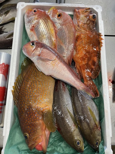 鮮魚BOX約5kg
