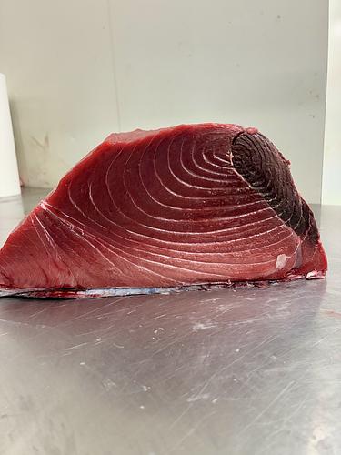 本マグロ(巻網)