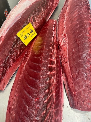 本マグロ腹上1入約6kg(定置)