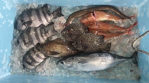 鮮魚BOXB約5.2kg(定置)