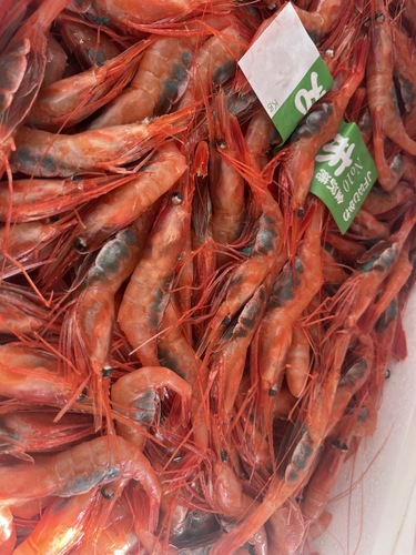甘エビ子持ち約3.3kg(底曳)