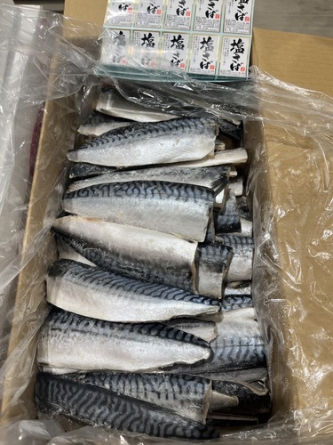 冷凍さばフィーレ約10kg