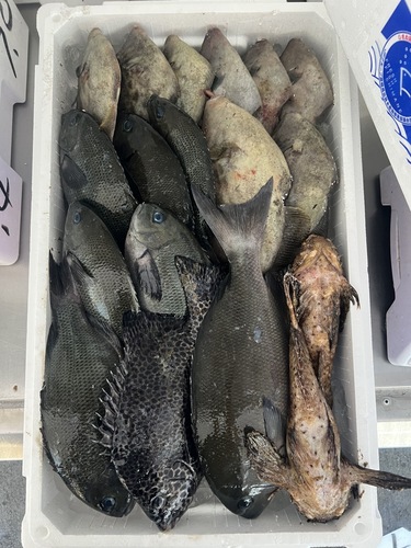 鮮魚BOX約5.1kg(定置)