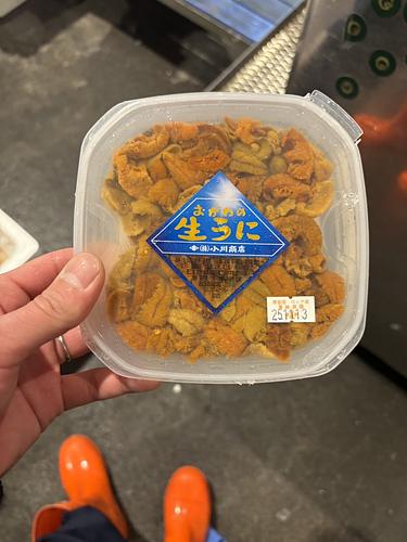 バフンウニ（塩水）