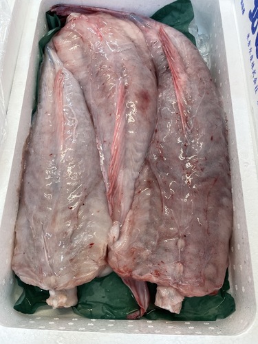 アンコウ（ムキ身）3入約6.8kg(沿岸)