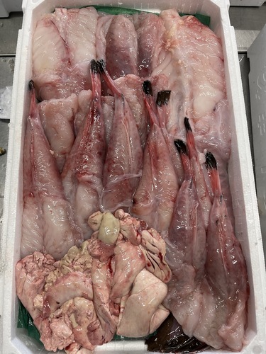 アンコウ（ムキ身）ムキミ7.5k 肝0.6k約8kg(底曳)