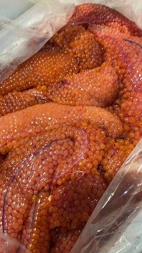 筋子約3kg