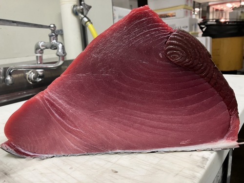 本マグロ12-15k背ロイン約13kg(養殖)【業務用の鮮魚仕入れならウーオ】