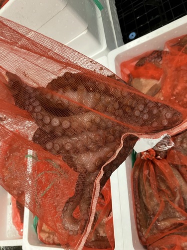 マダコ8入約8.9kg