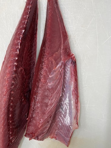 キハダマグロ半身入れ約7kg(巻網)