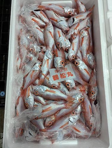 アカムツバラ約6kg(底曳)
