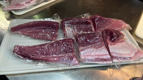 活〆本マグロ（養殖）