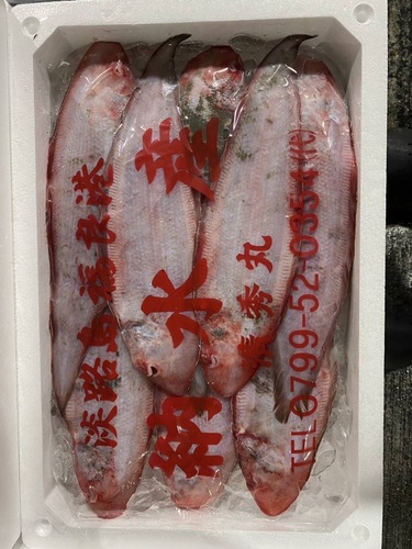 アカシタビラメ7/9入約2kg(底曳)