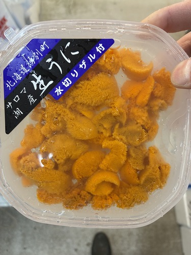 バフンウニ（塩水）10入約1kg