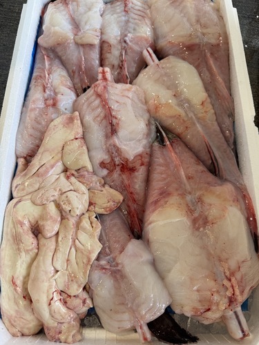 アンコウ（ムキ身）約6.2kg(底曳)