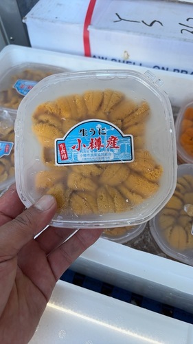 キタムラサキウニ（塩水）10入約1kg(沿岸)