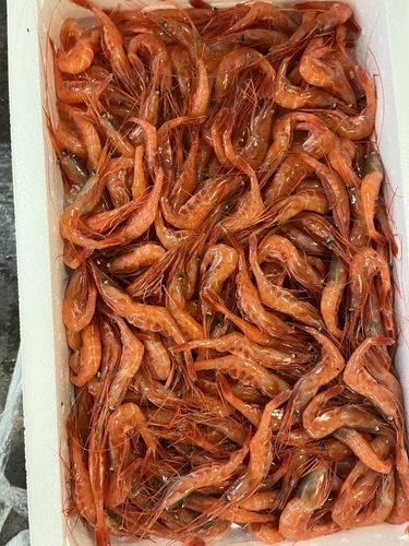 甘エビ大約3kg(底曳)