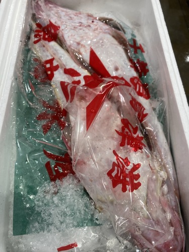 コチ2入約3kg