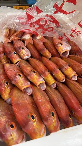 レンコダイ45入約10kg(底曳)