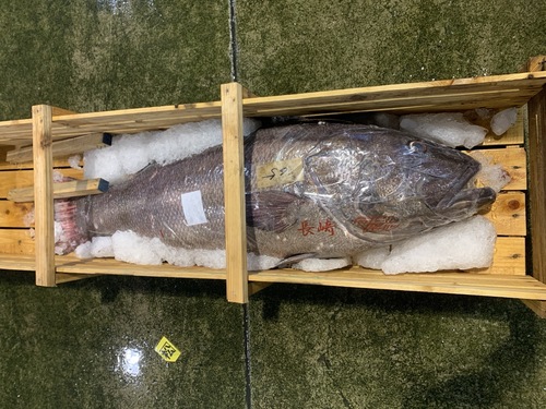 イシナギ(釣)