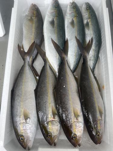 鮮魚BOX約4.1kg(定置)