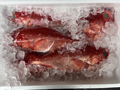 キンメダイ5入約5.5kg(釣)
