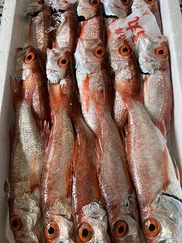 ノドグロ(アカムツ)15入約3.5kg(底曳)