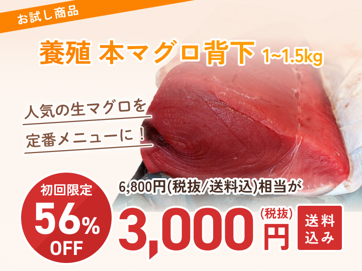 本マグロ（養殖）(沿岸)