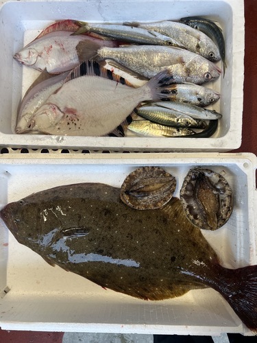 鮮魚BOX計約4.5kg
