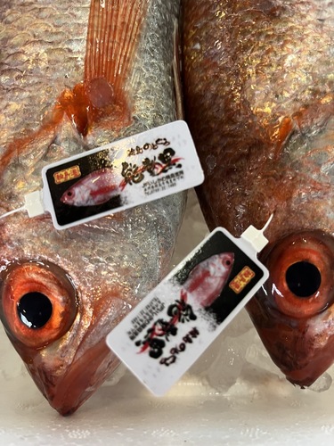 ノドグロ(アカムツ)5入約3.2kg(刺網)
