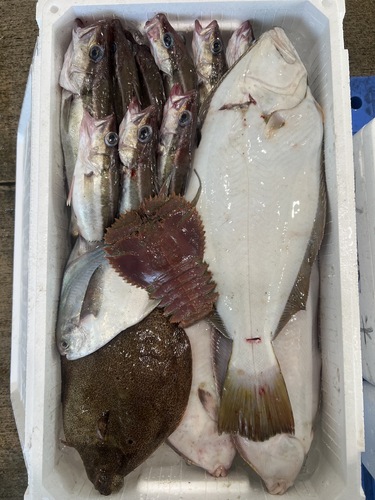 鮮魚BOX約4.9kg(底曳)