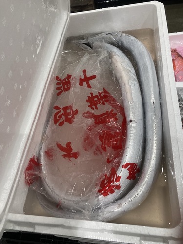 タチウオ2入約2kg