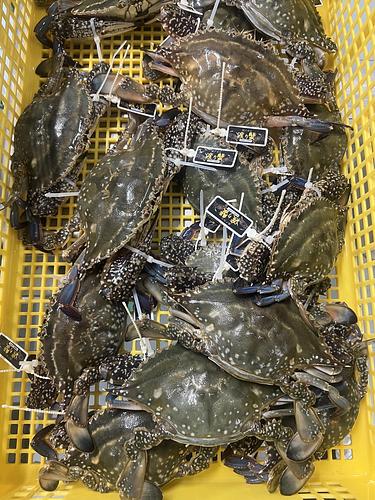 ワタリガニ15入約6kg(底曳)