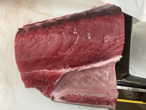 神経〆本マグロ（養殖）①国産養殖生本鮪　腹中ブロック1入約4.5kg