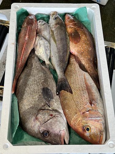 鮮魚BOX約5.5kg