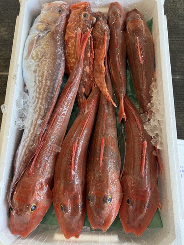 鮮魚BOX約5.5kg(延縄)