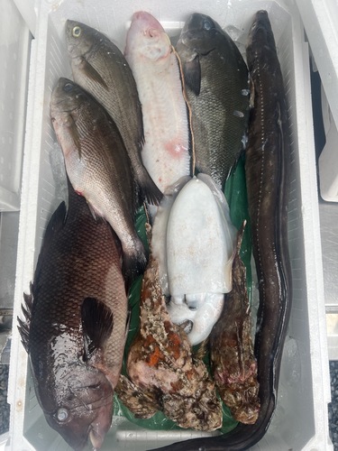 鮮魚BOX約4kg(定置)