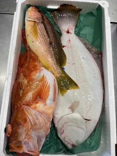 鮮魚BOX①約4.2kg(釣)