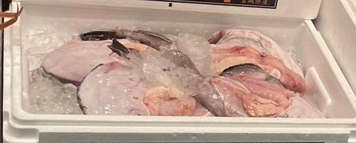 アンコウ3/4入　4k台約4kg(底曳)
