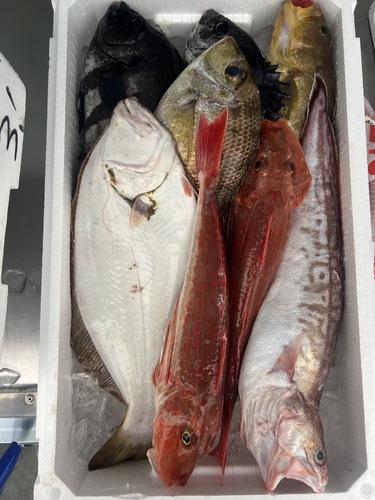 鮮魚BOX約5.3kg(定置)