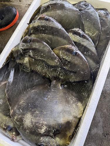 ツバメウオ11入約4.5kg(定置)