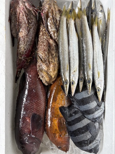 鮮魚BOX約5.2kg(沿岸)
